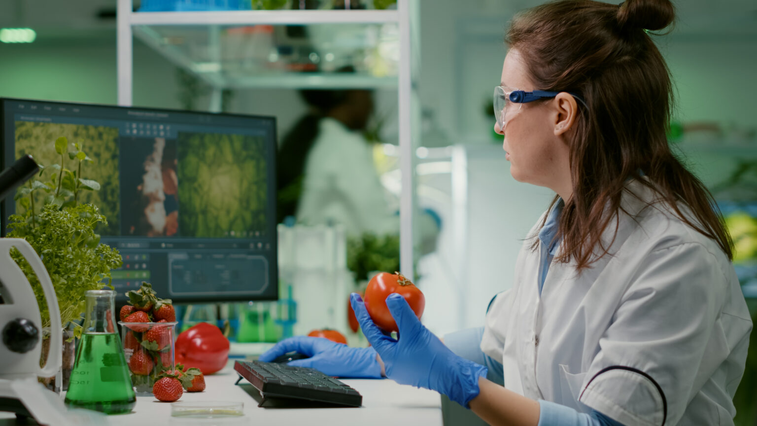 food and Beverage lab software